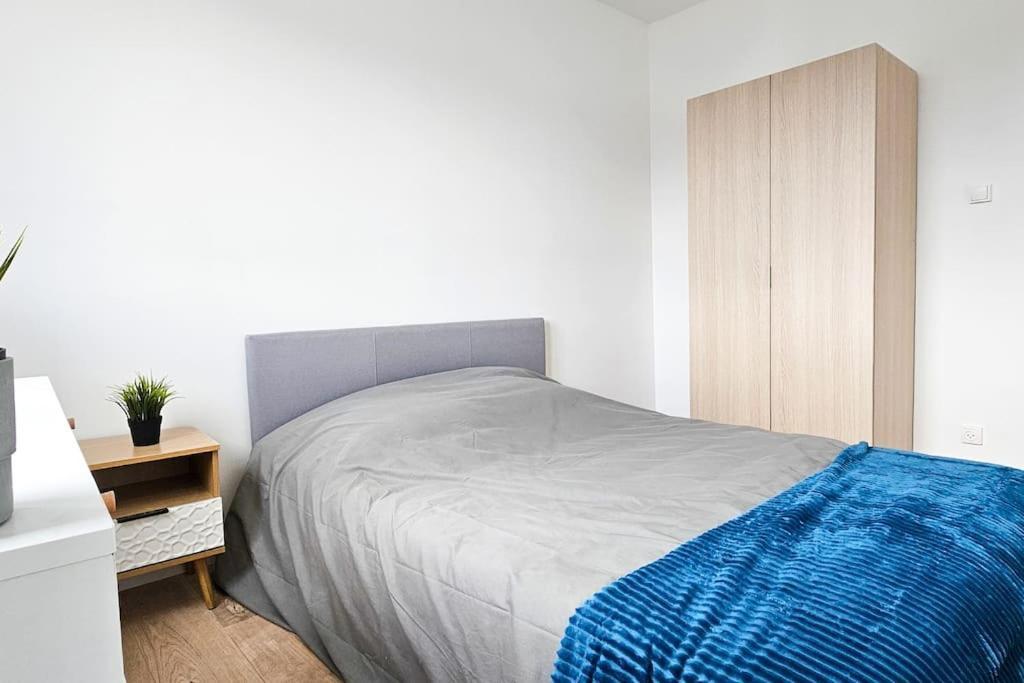 Apartament C'Est Chez Maurice! 4 Ch Wifi Balcon Parking Free Saint-Etienne  Zewnętrze zdjęcie