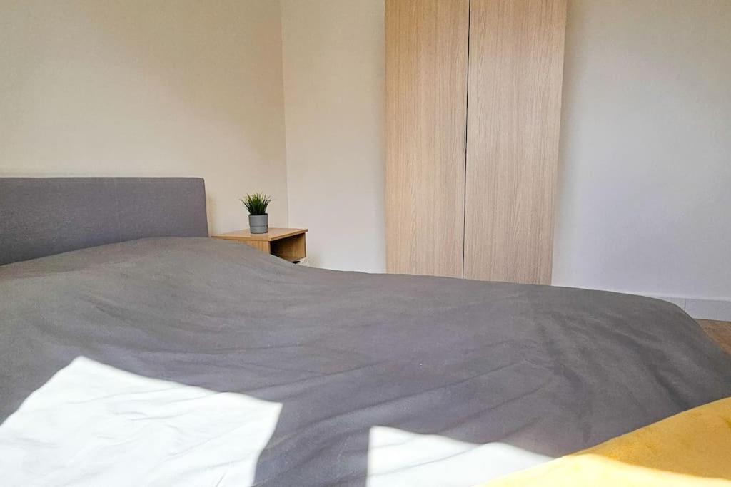 Apartament C'Est Chez Maurice! 4 Ch Wifi Balcon Parking Free Saint-Etienne  Zewnętrze zdjęcie
