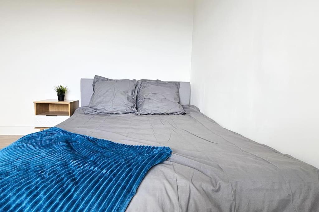 Apartament C'Est Chez Maurice! 4 Ch Wifi Balcon Parking Free Saint-Etienne  Zewnętrze zdjęcie